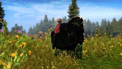 третий скриншот из Cabela's Outdoor Adventures