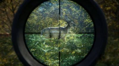 первый скриншот из TheHunter: Call of the Wild