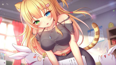 первый скриншот из Sakura Hime 2