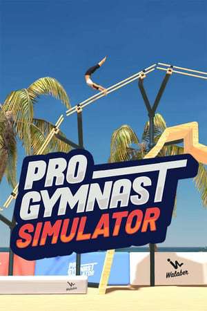 Pro Gymnast Simulator Pro Gymnast Simulator