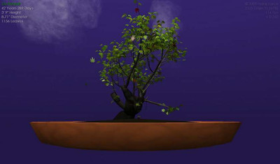 четвертый скриншот из Go Bonsai