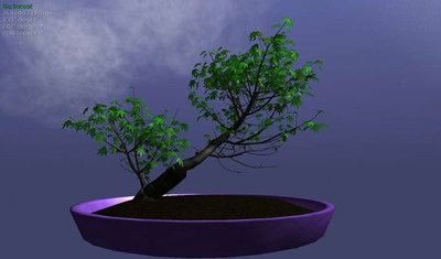 второй скриншот из Go Bonsai