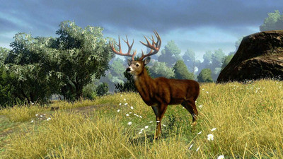 четвертый скриншот из Cabela's Outdoor Adventures 2010