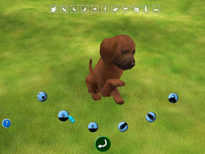 второй скриншот из Doggies / Собачки. Лучшие Друзья