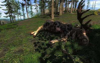 первый скриншот из The Hunter 2012