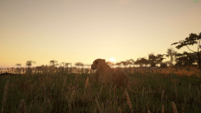 третий скриншот из Animalia Survival