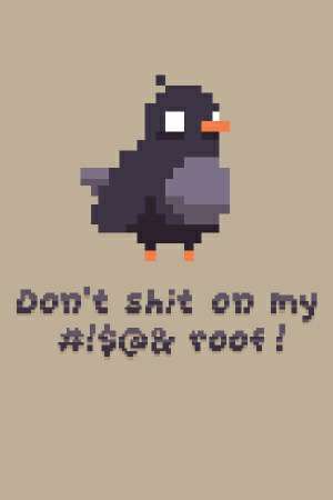 Don't Shit On My Roof Don't Shit On My Roof