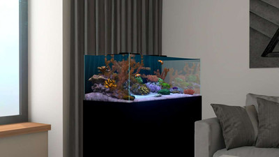 второй скриншот из Behind Glass: Aquarium Simulator DEMO