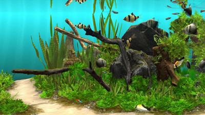 первый скриншот из Behind Glass: Aquarium Simulator DEMO