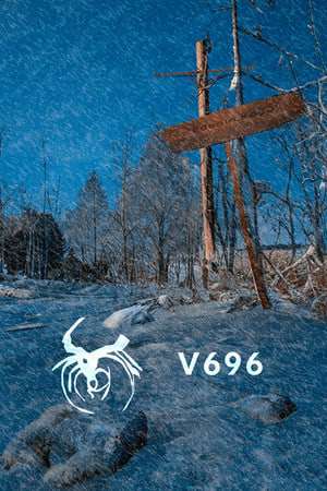 V696 V696