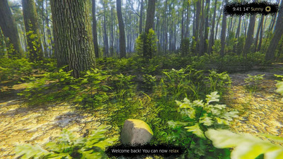 четвертый скриншот из Mindfulness Simulator - ASMR Meditation Game