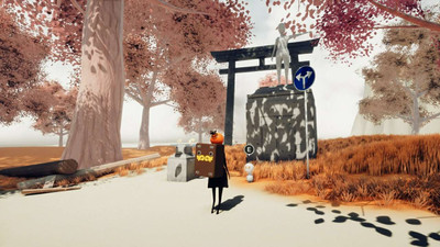 первый скриншот из Torii
