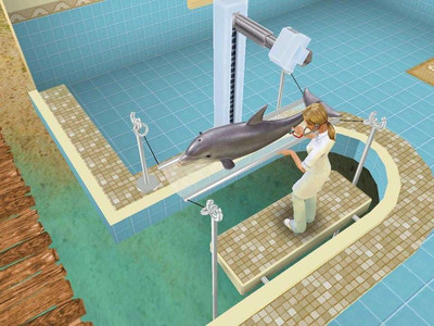 второй скриншот из Pet Vet 3D Animal hospital Down Under