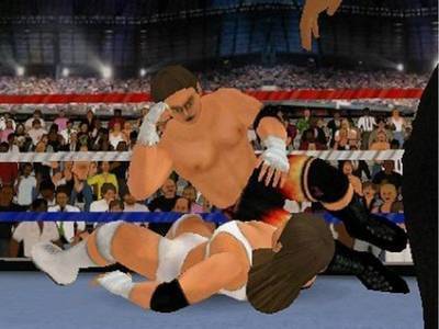 второй скриншот из Wrestling Mpire 2011