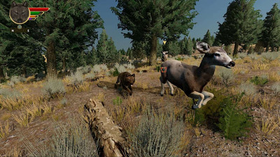 четвертый скриншот из WolfQuest: Anniversary Edition BETA
