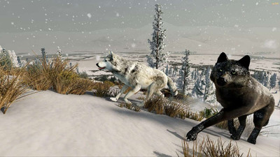 первый скриншот из WolfQuest: Anniversary Edition BETA