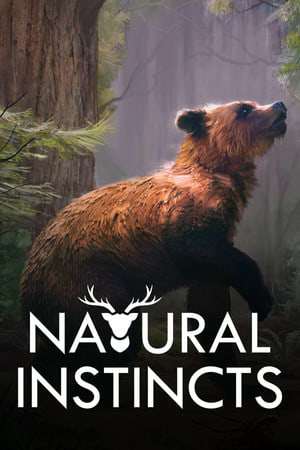 Natural Instincts: European Forest Natural Instincts: European Forest