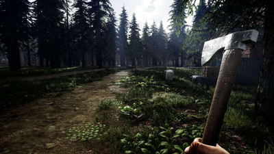 второй скриншот из Mist Survival