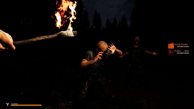 четвертый скриншот из Mist Survival