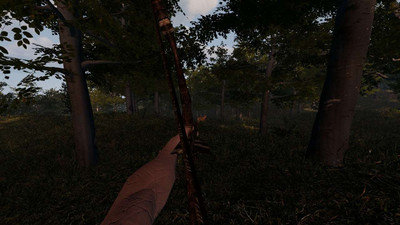 второй скриншот из Forlorn