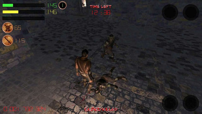 второй скриншот из Dungeon Avenger
