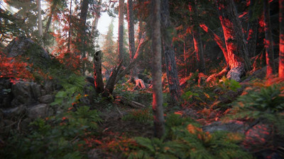 первый скриншот из The Forest Cathedral