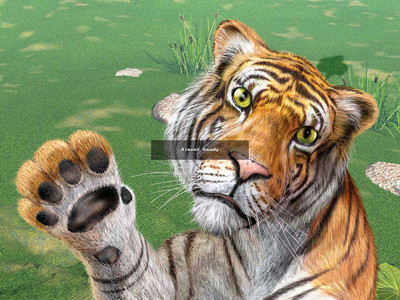 второй скриншот из Wild Life!