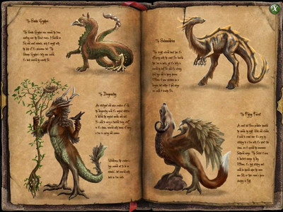 второй скриншот из Everlight: Of Magic & Power