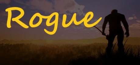 Rogue Rogue