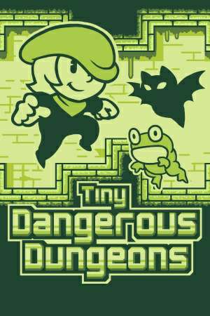 Tiny Dangerous Dungeons Tiny Dangerous Dungeons