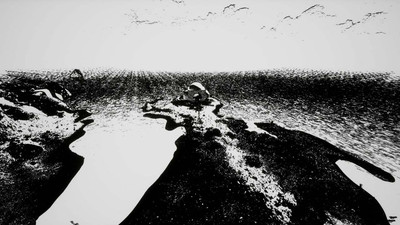 первый скриншот из HARTS ISLAND