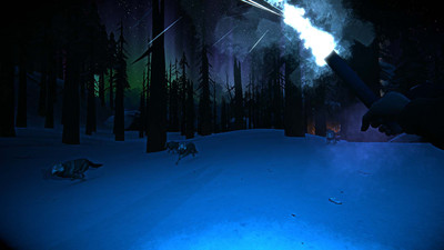 первый скриншот из The Long Dark: Quiet Apocalypse Edition