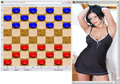 второй скриншот из FreeSweetGames Шашки