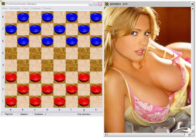 первый скриншот из FreeSweetGames Шашки
