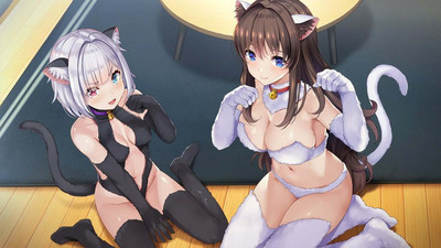 четвертый скриншот из NinNinDays2