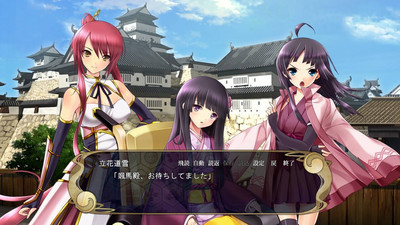 первый скриншот из Sengoku Hime 3 ~Tenka o Kirisaku Hikari to Kage~