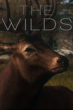 The WILDS The WILDS