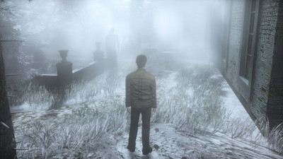 первый скриншот из The Frozen Garden