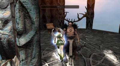 второй скриншот из Faery: Legends of Avalon