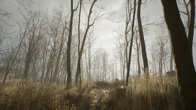 второй скриншот из Nowhere: Mysterious Artifacts