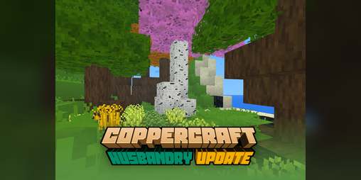 Coppercraft Coppercraft