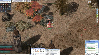 четвертый скриншот из Ragnarok Online