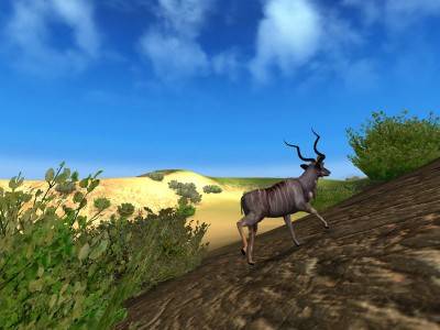 второй скриншот из Hunting Unlimited 2010
