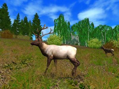 третий скриншот из Hunting Unlimited 2010