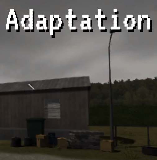 Adaptation