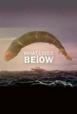 What Lives Below