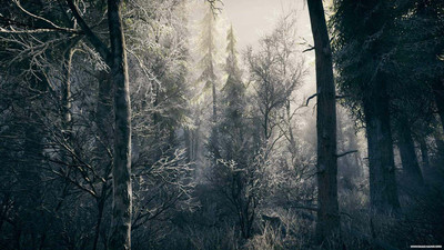 третий скриншот из Icing