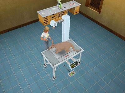 второй скриншот из Pet Vet 3D Wild Animal Hospital
