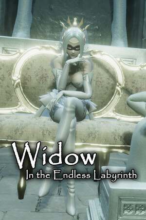 Обложка Widow in the Endless Labyrinth