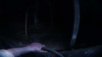 первый скриншот из Cryptid